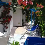House Of Flowers