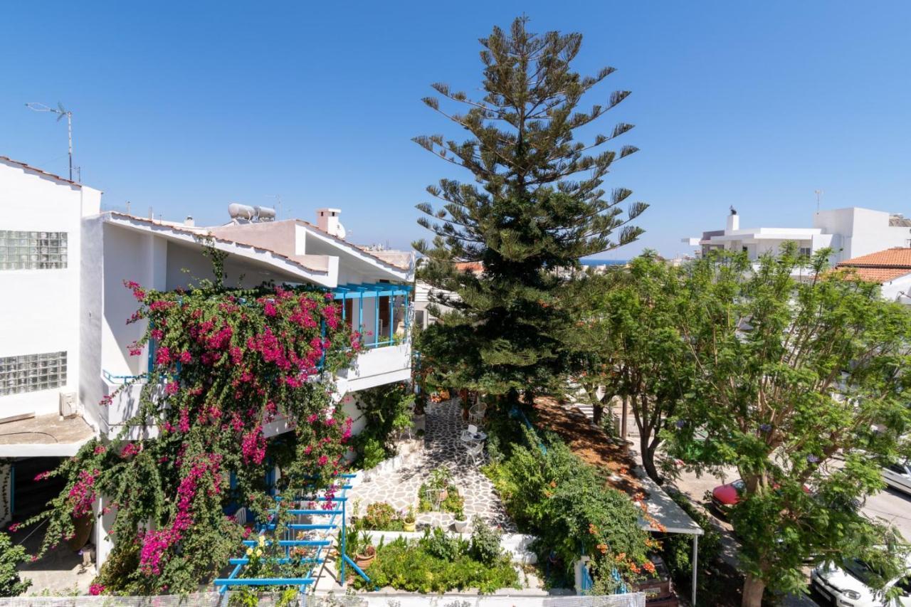 House Of Flowers