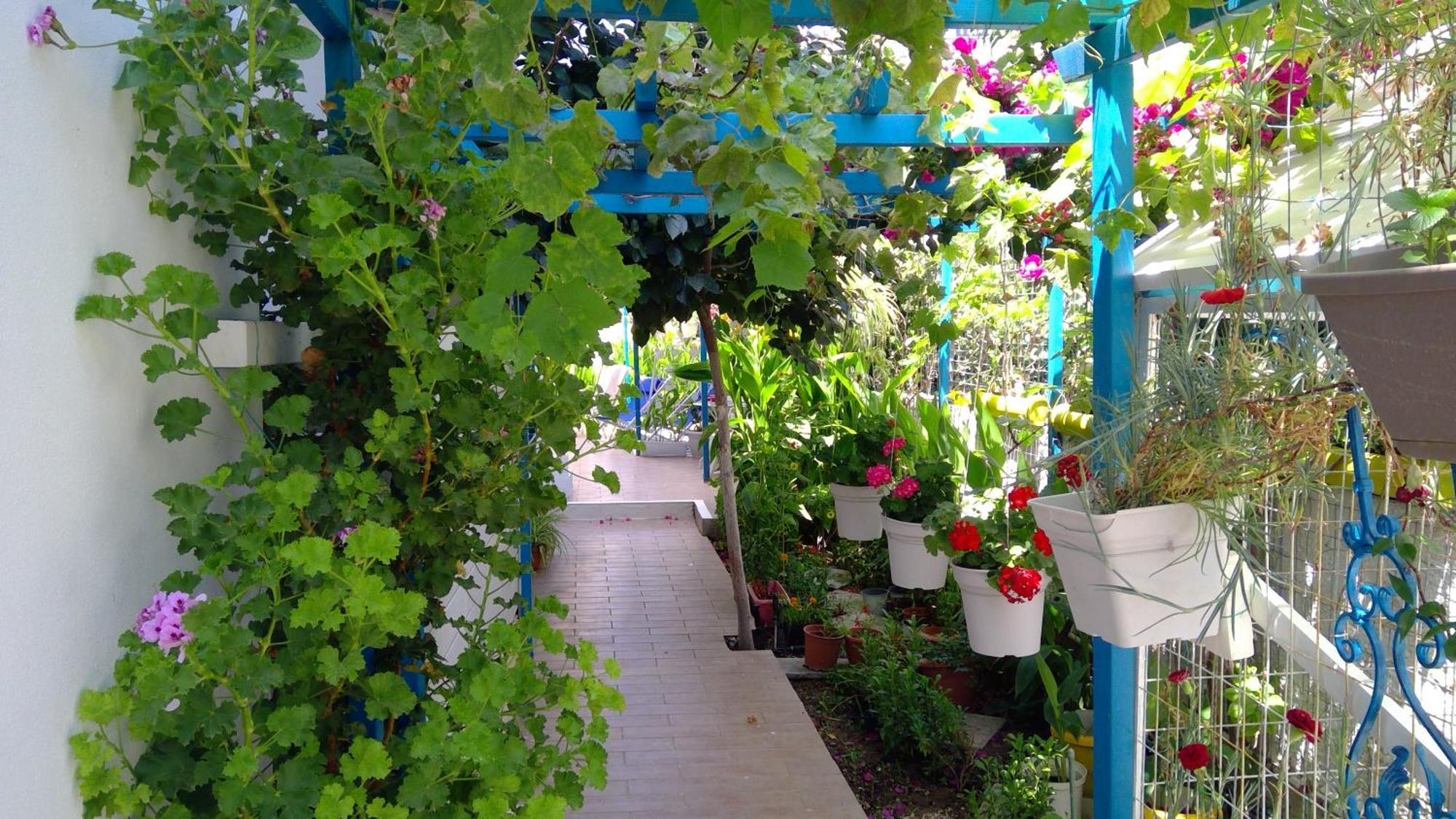 House Of Flowers Apartment *