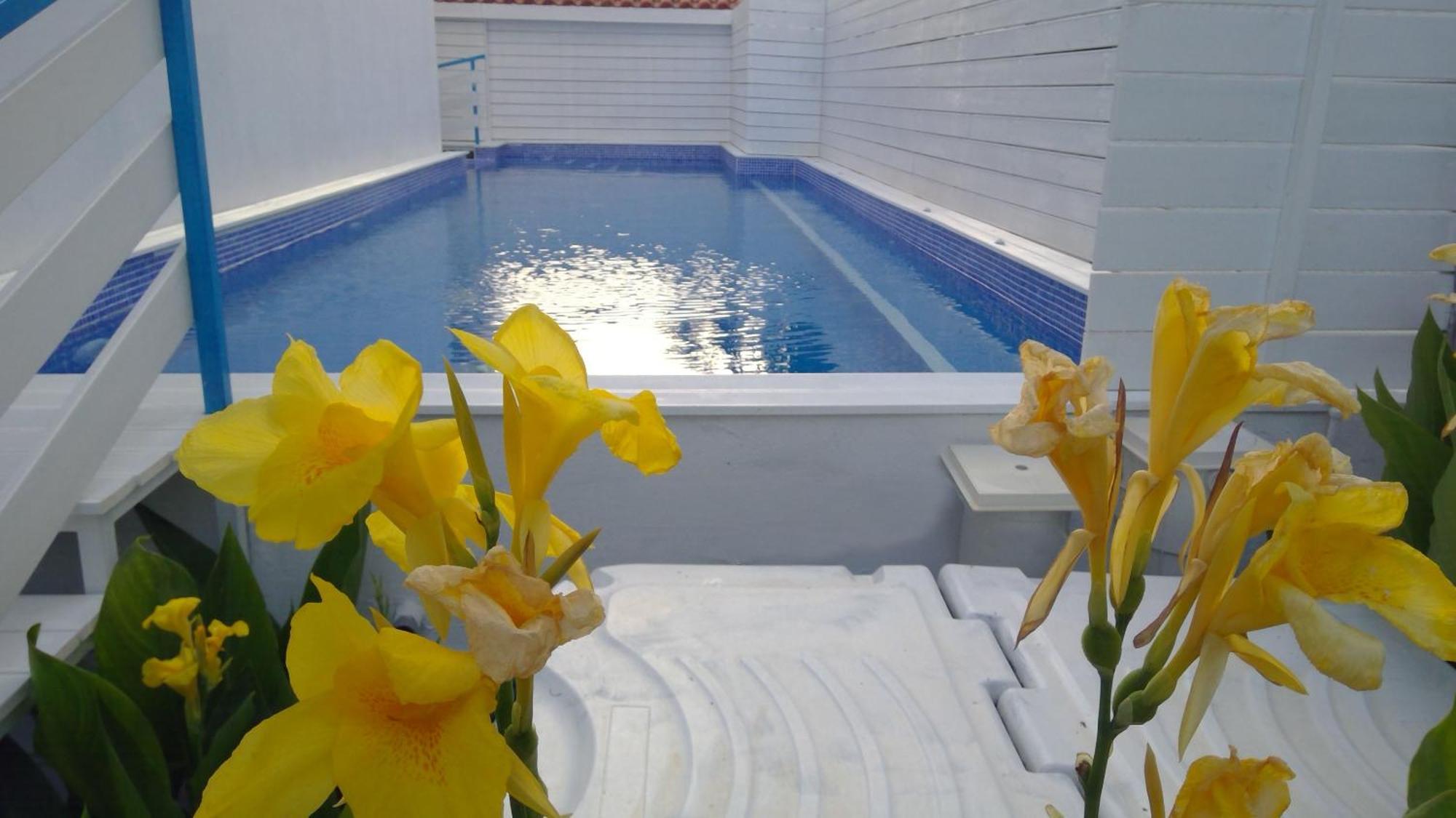 Apartment House Of Flowers Rhodes City